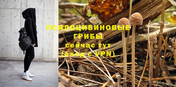 амф Навашино