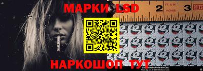 стаф Донской