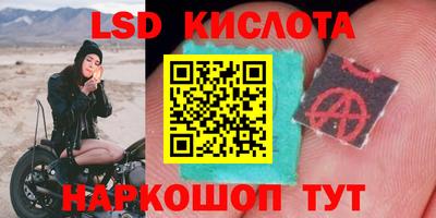 герыч Донецк