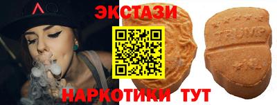 стаф Донской