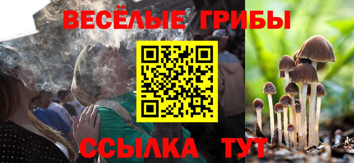 Псилоцибиновые грибы Cubensis  Галлюциногенные грибы Psilocybe  Каспийск  Вход с VPN 