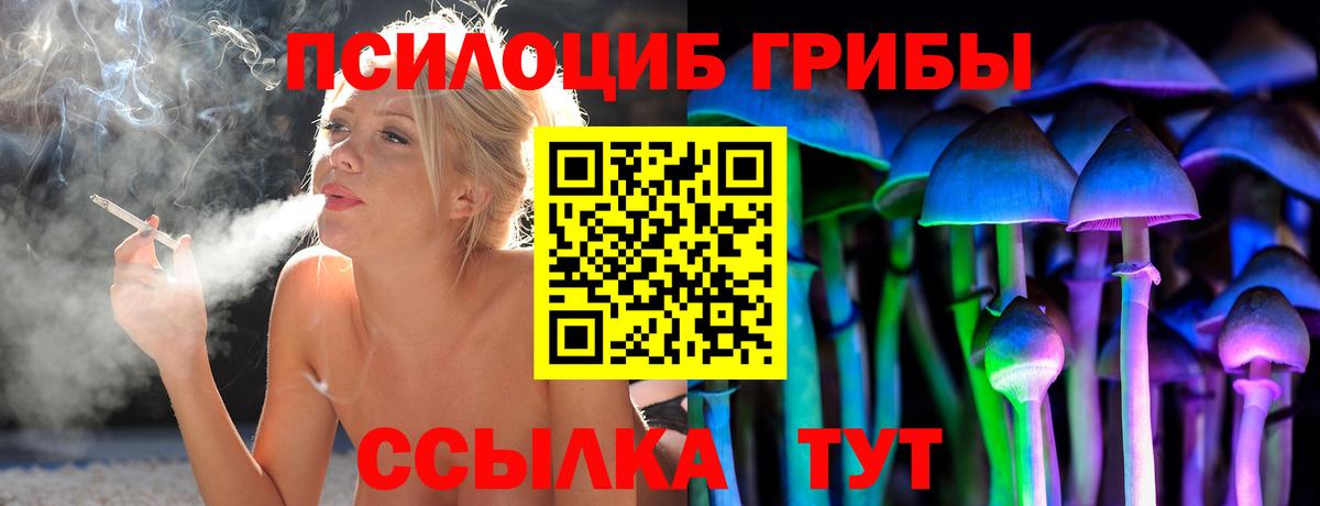Псилоцибиновые грибы Psilocybe Каспийск